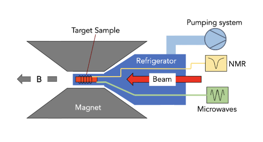 JLab_News's tweet photo. To explore how particles get their spin, scientists developed a target chock full of spinning protons and neutrons that spin in the same direction. And to their surprise, the target flashes blue after experiments! Check it out: 
https://t.co/B5FZkUEvWb https://t.co/vyKn1VJtcz