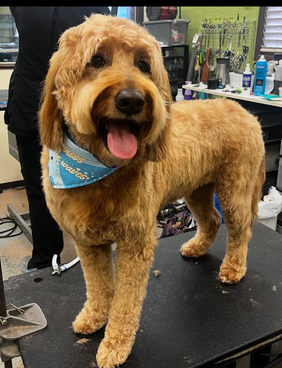 Kirk Oly's- Associate NSM Sports Management (@kirkolys) on Twitter photo 