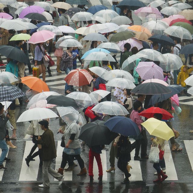 Scots Gaelic Challenge Day 3038 reòthta cruaidh = frozen solid, sgàil-uisge/sgàilean-uisge = umbrella #Gaelic #language #Gaidhlig