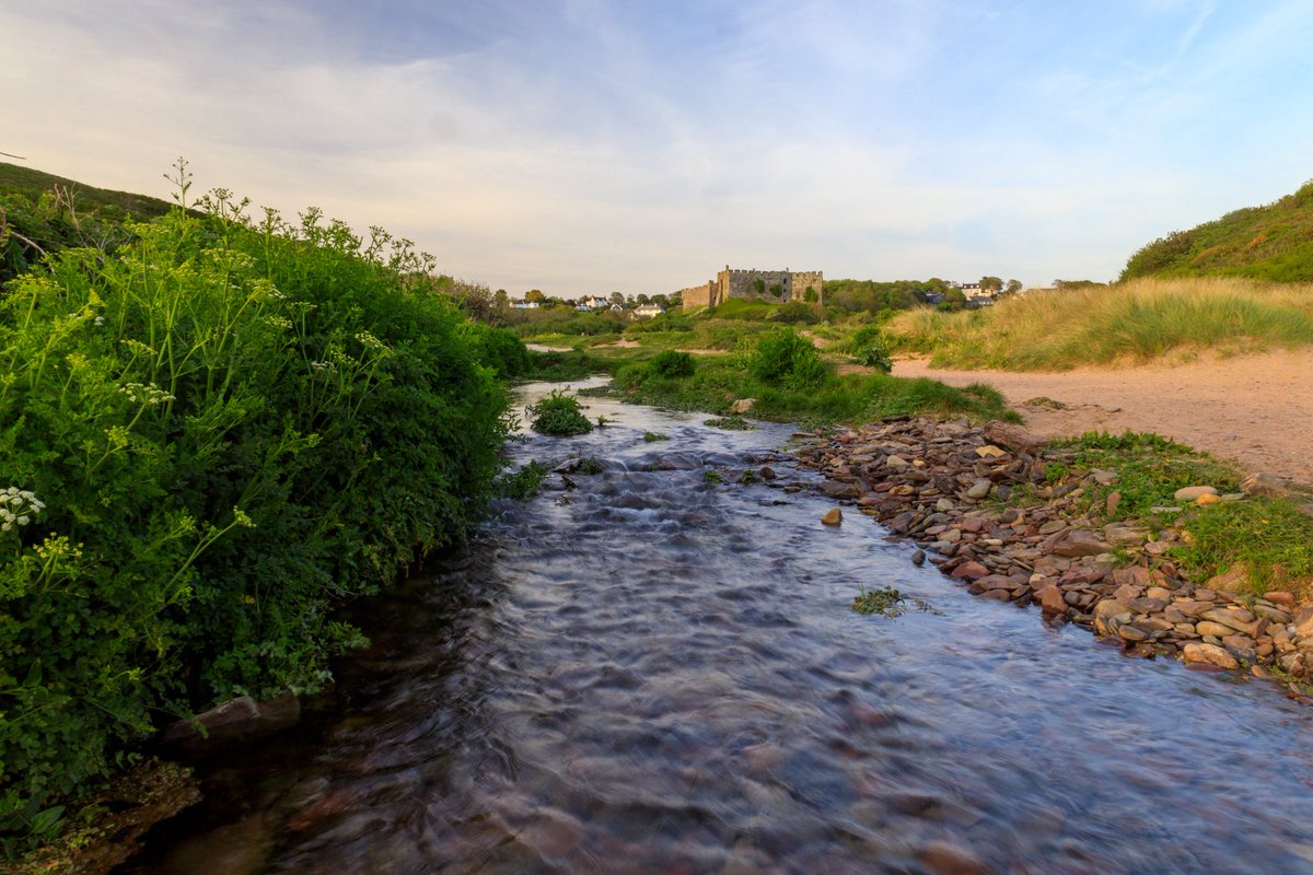 Owen Young tweet media