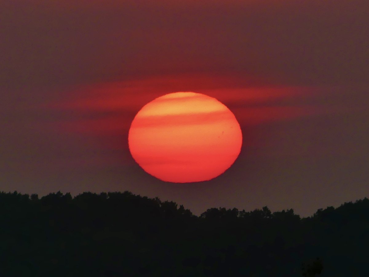 Conthescene's tweet image. Tangerine sunrise over Rock Creek Park in DC today 馃崐馃寘