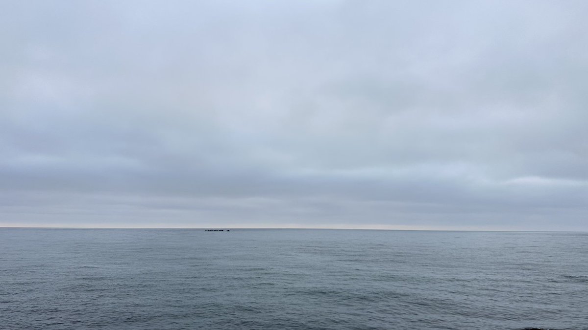 こぐま北海道 tweet media