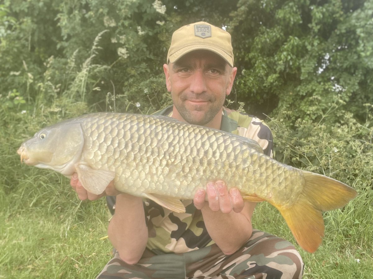 Nothing since I started fishing about 4pm last night, 3 bites in an hour, a mid double, then lost one, then this 12lb #common 
Packed up just one rod left out for a quick exit before then heavens open and I have to go to work ☔️ 
<a href="/5calesandtails/">scalesandtails</a> 
#fish #fishing #carpfishing