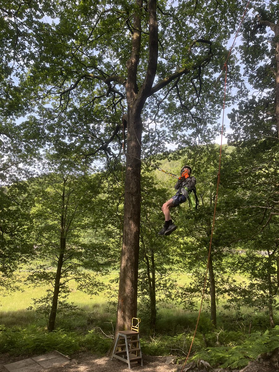 mattarnprimary tweet media