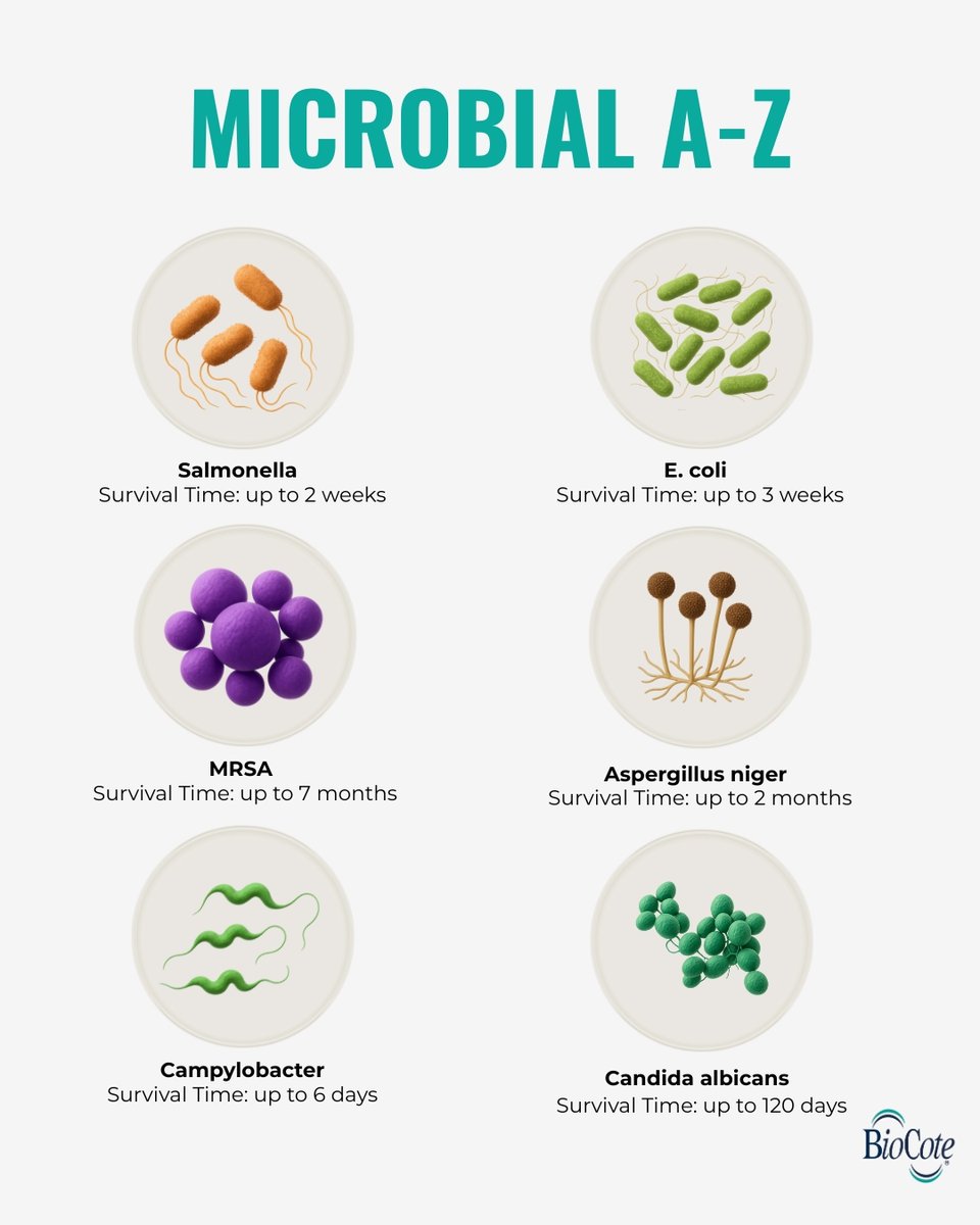 How long can microbes survive on everyday surfaces?

Some last days—or even months—if untreated.

BioCote® antimicrobial technology reduces them by up to 99.9%.

Explore our A–Z of microbes:
🔗 eu1.hubs.ly/H0kkMT60

#Antimicrobial #Microbes #BioCote