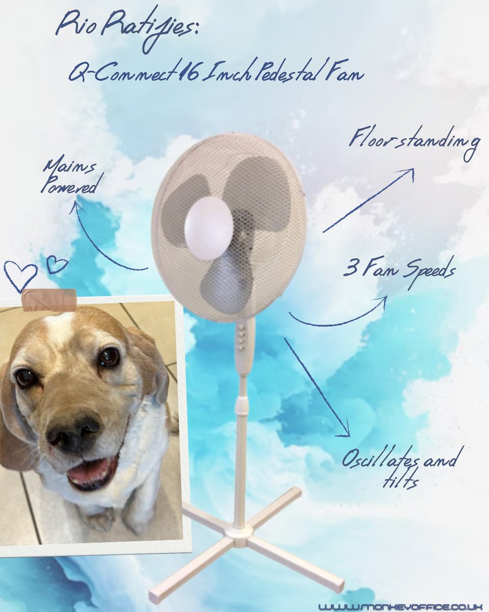 This mains powered fan features a sturdy height adjustable floor stand. You can manually tilt the fan to suit your needs, and the automatic oscillating function rotates the fan head back and forth to provide cooling to an entire room. 

Shop Below:
monkeyoffice.co.uk/office-machine…