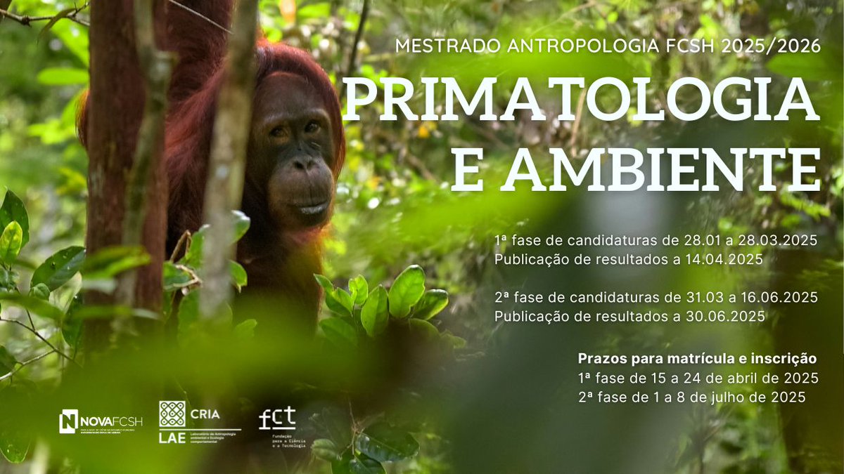 Candidaturas abertas ate 16 de junho para a 3 edição do #mestrado em #Antropologia com especialização em #Primatologia e #Ambiente da <a href="/novafcsh/">novafcsh</a>. Uma oportunidade para aprendizagens #multidisciplinares para responder a desafios urgentes. #conservação #antropoceno #coexistência