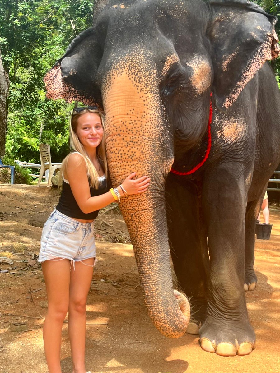 Nicola Scarfe (@nicolascarfe) on Twitter photo 