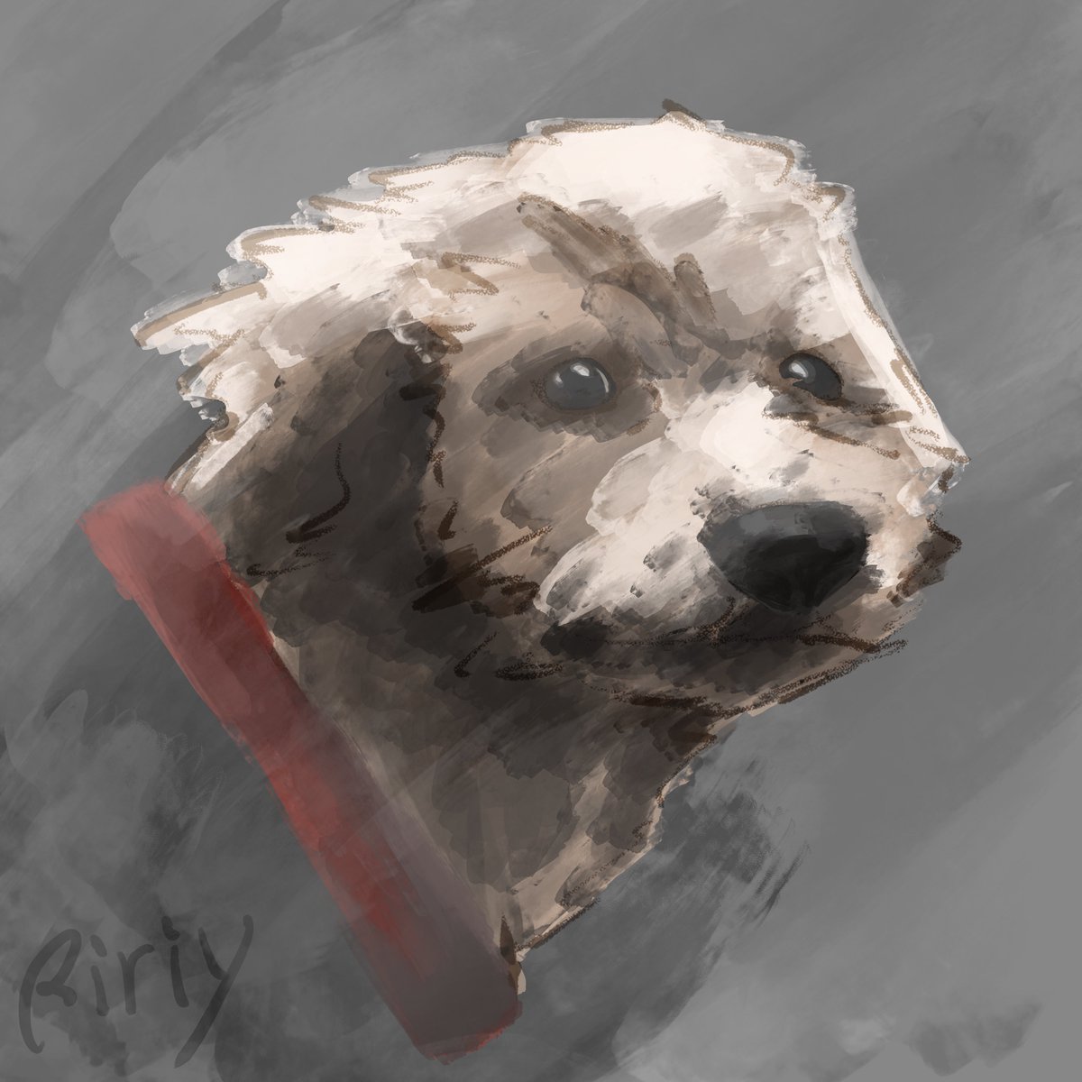 Magissa_Atelier's tweet photo. Dog / 犬
#illustration https://t.co/X4ahepAXOz