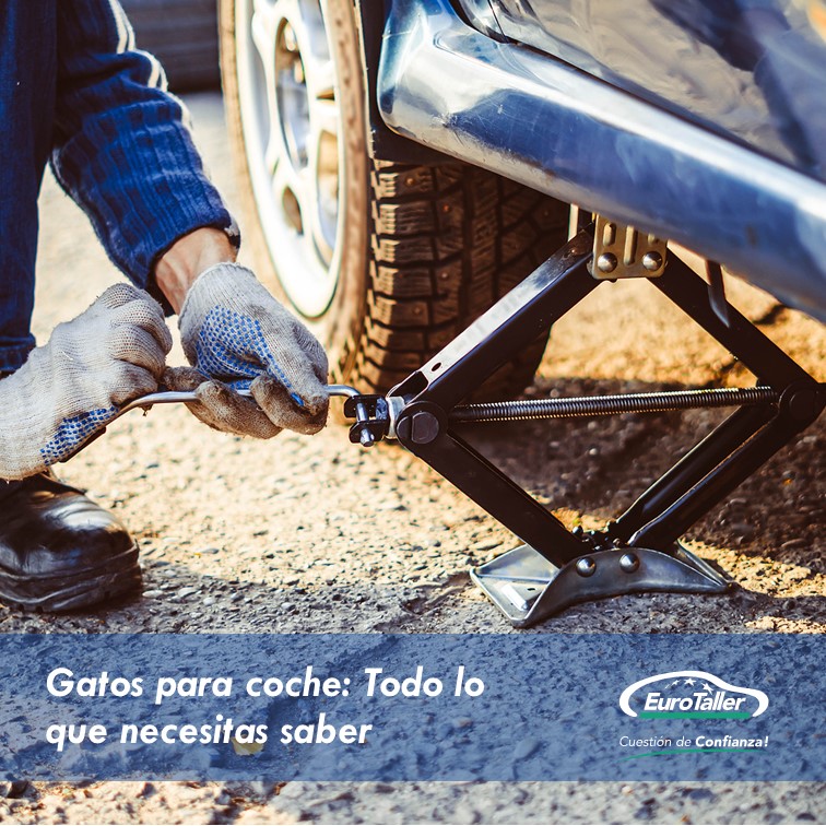 ¿Sabes cómo usar el gato del coche? 🐱🔧

Puede parecer simple, pero es clave en emergencias 🚗💥

Descubre tipos, consejos y curiosidades aquí 👇

eurotaller.com/noticia/el-gat…

#EuroTaller #GatoDelCoche #Mantenimiento #SeguridadVial