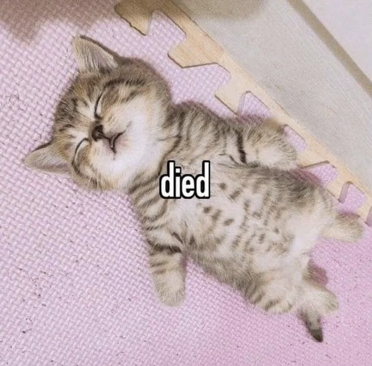 "Il veut pas venir ce gosse il doit être autiste comme son père il veut pas changer son quotidien"

Les mots sont des armes