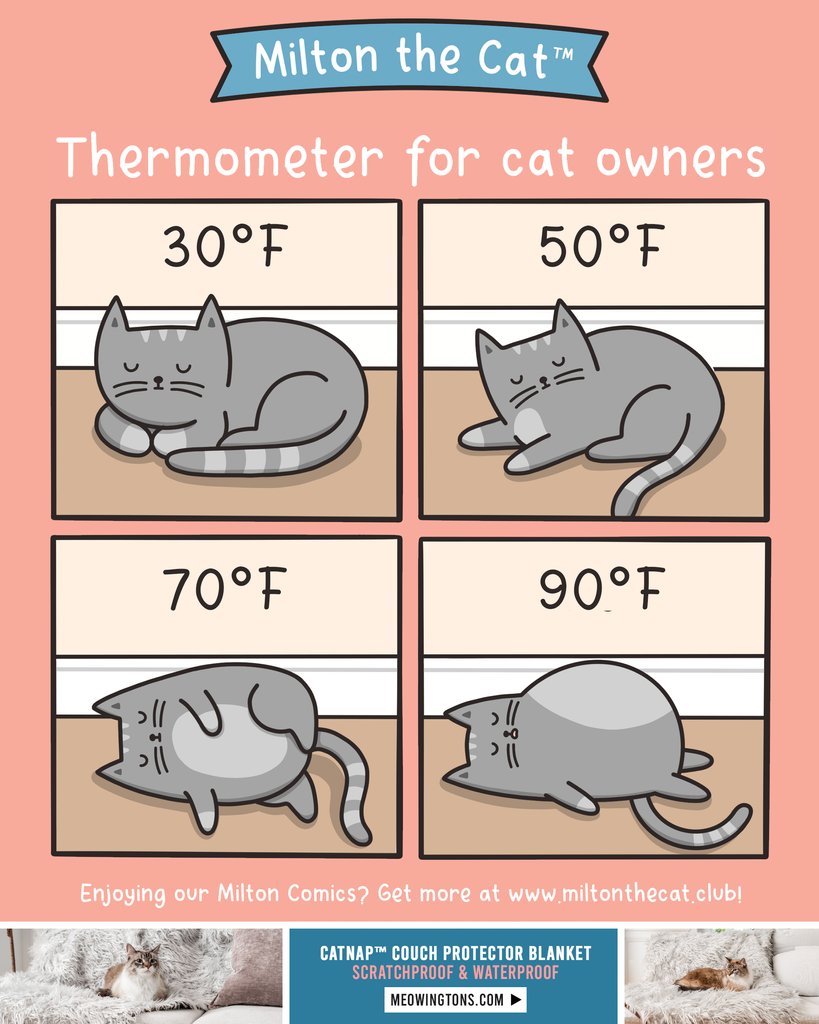 Temperature measured by level of cat flatness. 😹 

Want more Milton comics? ➡️ l8r.it/naW5