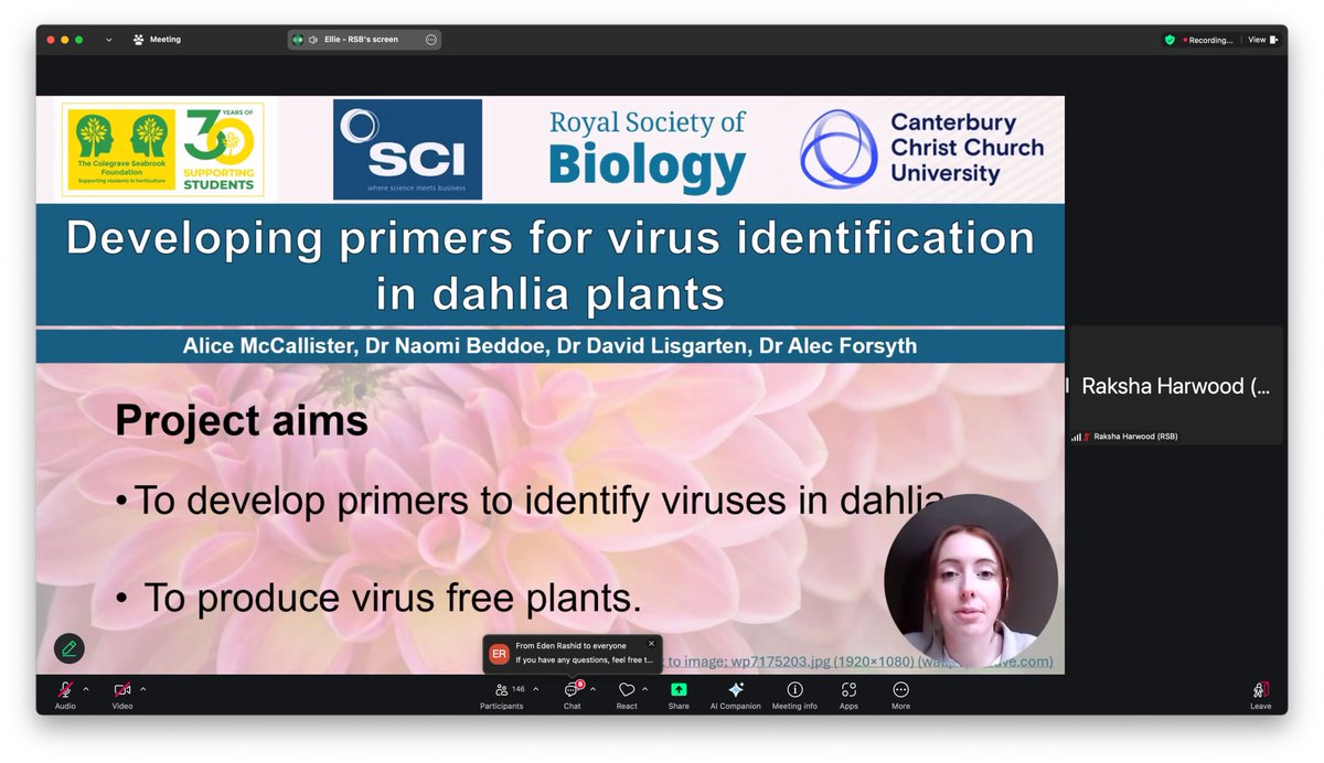 Mimi Tanimoto tweet media