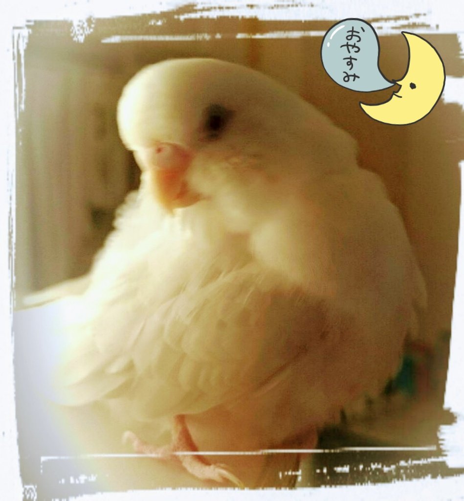 天気は梅雨らしくどんよりした日でしたが、気分の良い日でした🤗
明日も良い日でありますように🤗
それでは、
お疲れさまでした🙋
おやすみなさい🙋
明日も平安でありますように🙋