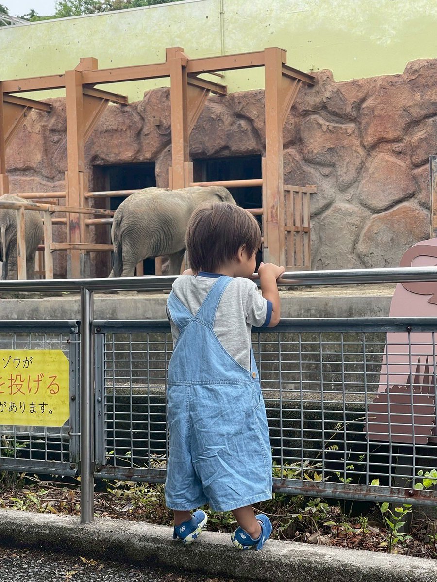 HaRu🐷産後ダイエット中🐣 tweet media