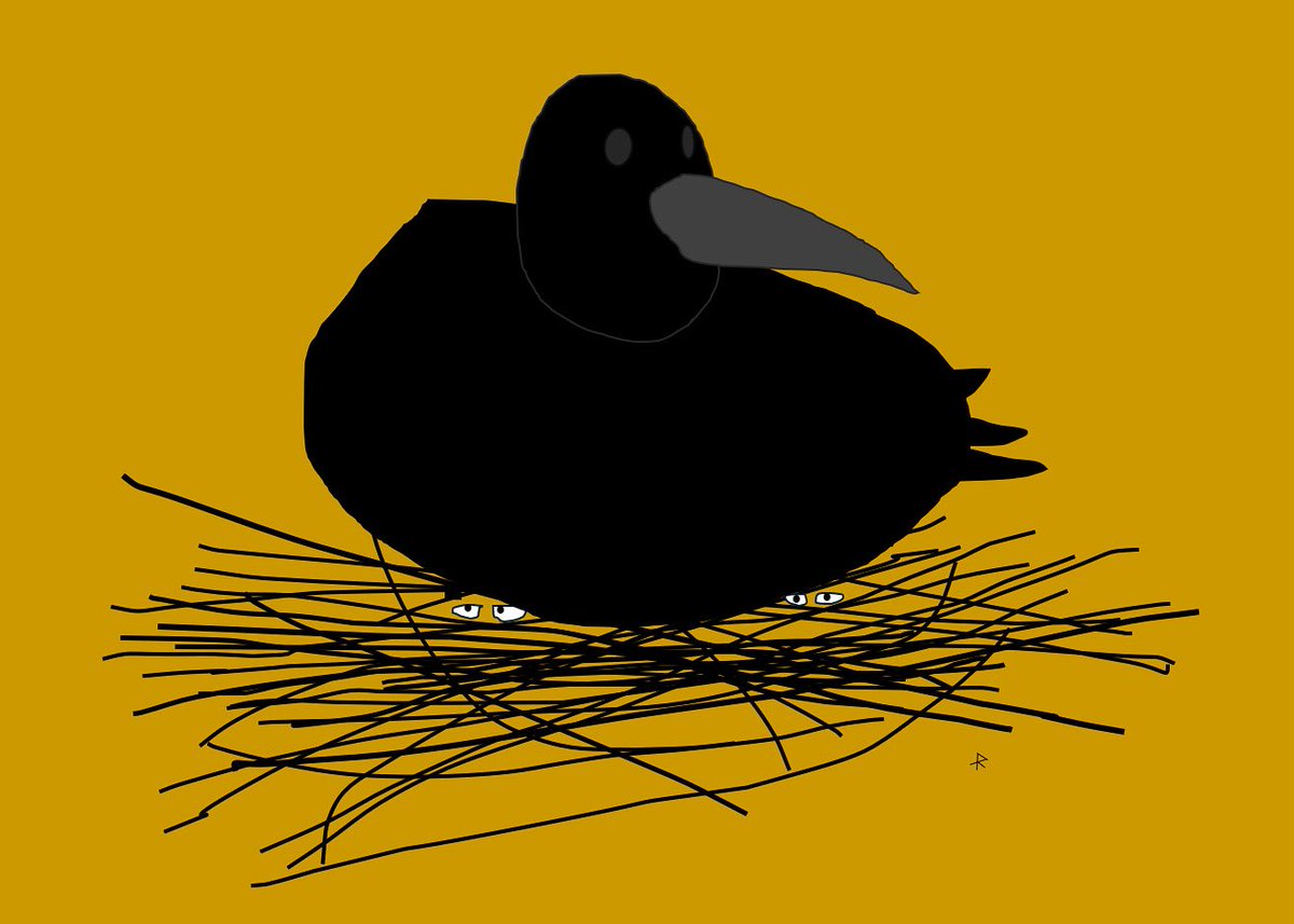 shiftr_art's tweet image. Black crow, the neighbor 

#excelart #digitalart #crow #arebirdscool