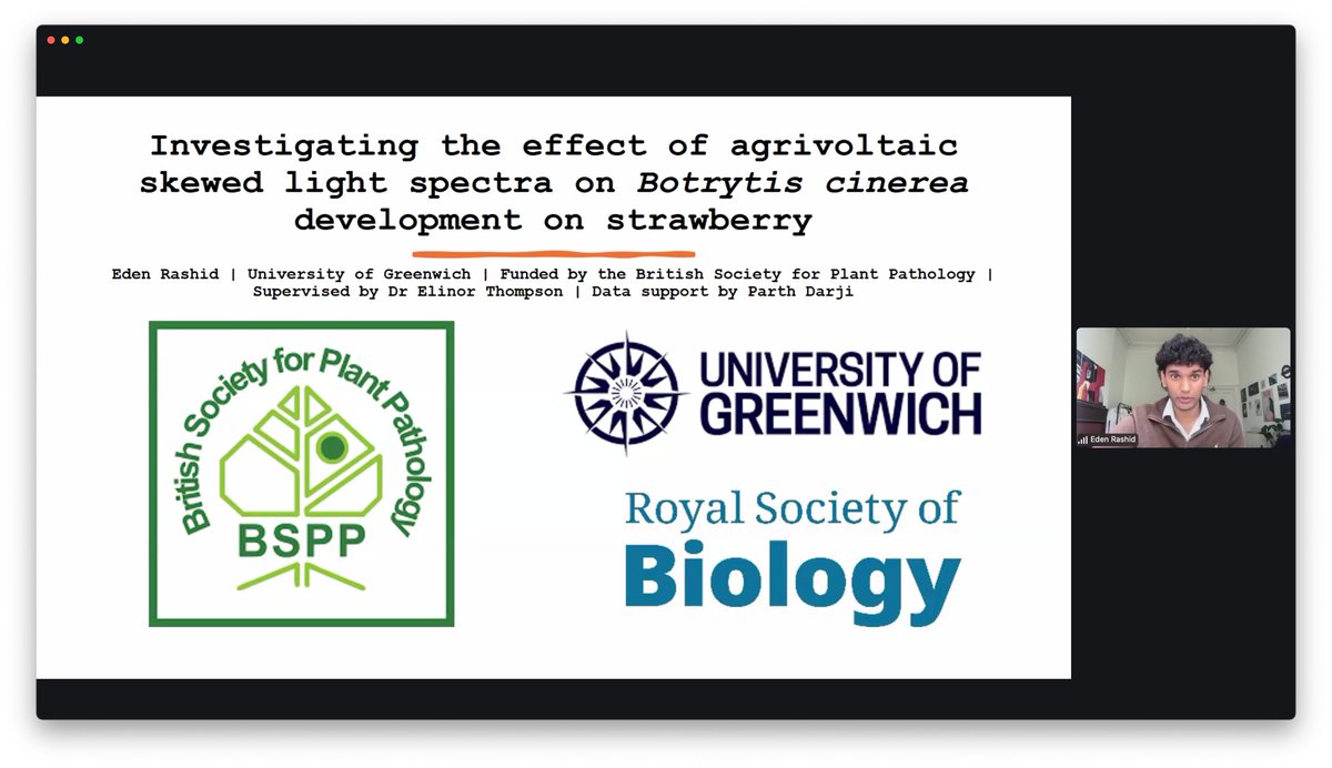 Mimi Tanimoto tweet media