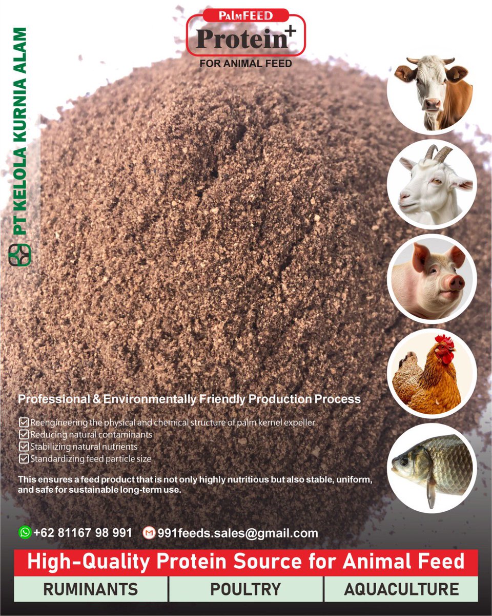 991Feeds's tweet photo. 991feeds Industry : Adalah UMKM dalam negeri yang Fokus Hilirisasi produk Turunan Sawit, terutama Bungkil Inti Sawit sebagai Ransum Utama Bahan Pakan Ternak

Di butuhkan oleh Banyak Negara, sebagai bahan pakan efisien peternakan di negaranya.

Kami menerima kerjasama Suply jika ada pedagang Eksport membutuhkan Produk Kami untuk Eksport ke berbagai negara.

Apakah Anda Punya Potensi? 😎