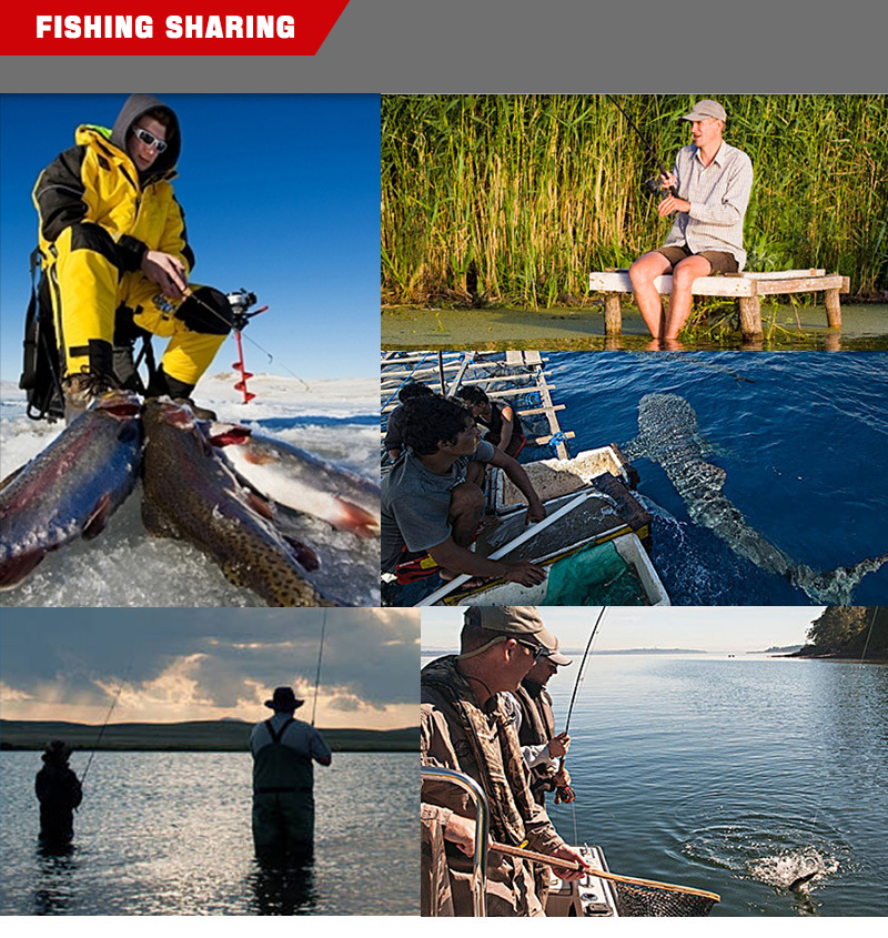 Lurefishingtool's tweet image. "Surface Pencil Lure - Topwater Explosions Guaranteed! 🎣💥
#TopwaterMagic #SurfaceStrikes #PredatorFishing
👉lurefishingtool.com/collections/lu…