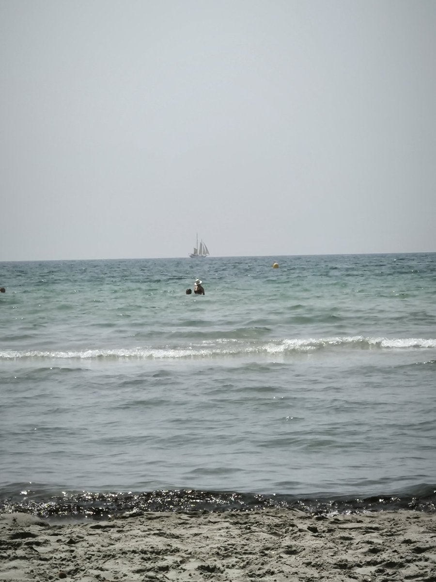 elrik31's tweet image. @XiaomiEspana 
#13T
Cámara x1 x2 x5 x10