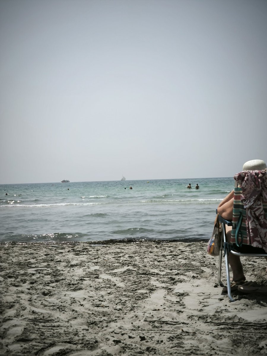 elrik31's tweet image. @XiaomiEspana 
#13T
Cámara x1 x2 x5 x10