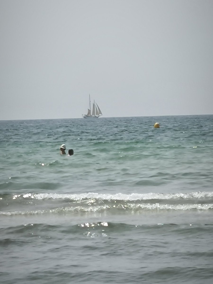 elrik31's tweet image. @XiaomiEspana 
#13T
Cámara x1 x2 x5 x10