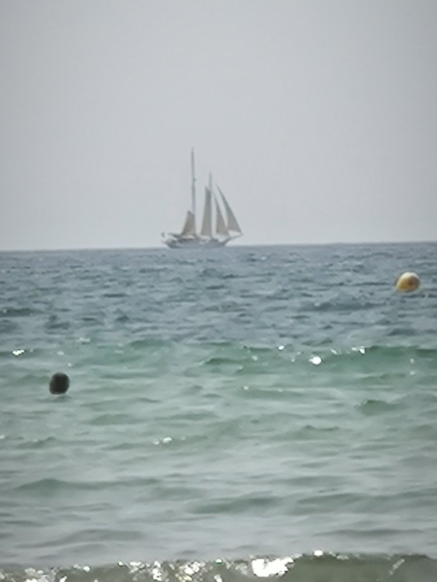 elrik31's tweet image. @XiaomiEspana 
#13T
Cámara x1 x2 x5 x10