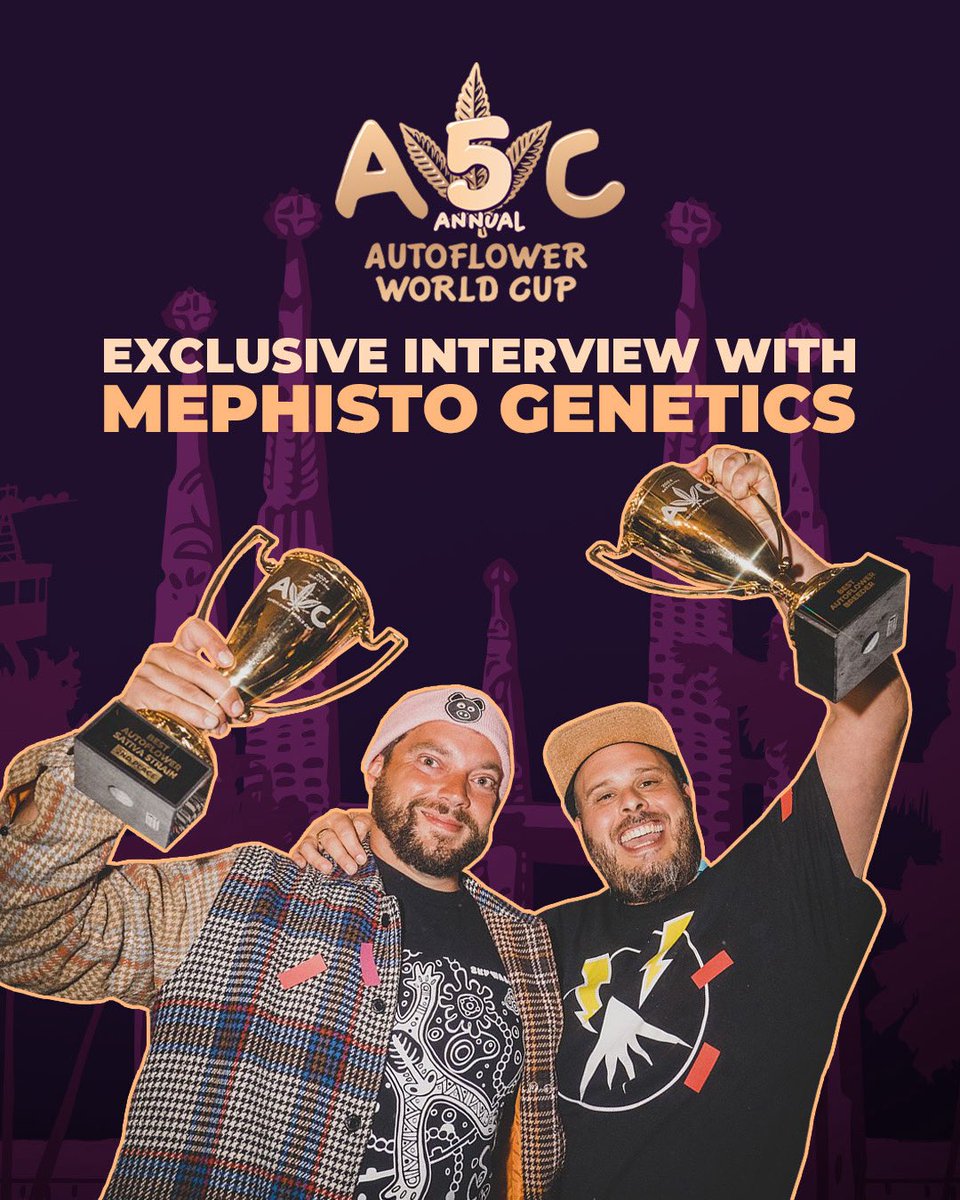 Autoflower World Cup (@infoautoflower1) on Twitter photo CHECK OUT OUR DISCORD FOR THIS EXCLUSIVE CHAT!
We have interviewed the creators of Mango Runtz and Iced’n’baked - <a href="/MephistoGenetic/">MephistoGenetics</a>
discord.gg/FmJdre4YyD
The two strains were submitted by @weedydi_bobbidi_boo and have won 1st place best strain 2025 and 2nd place Indica. CHECK OUT OUR DISCORD FOR THIS EXCLUSIVE CHAT!
We have interviewed the creators of Mango Runtz and Iced’n’baked - <a href="/MephistoGenetic/">MephistoGenetics</a>
discord.gg/FmJdre4YyD
The two strains were submitted by @weedydi_bobbidi_boo and have won 1st place best strain 2025 and 2nd place Indica.