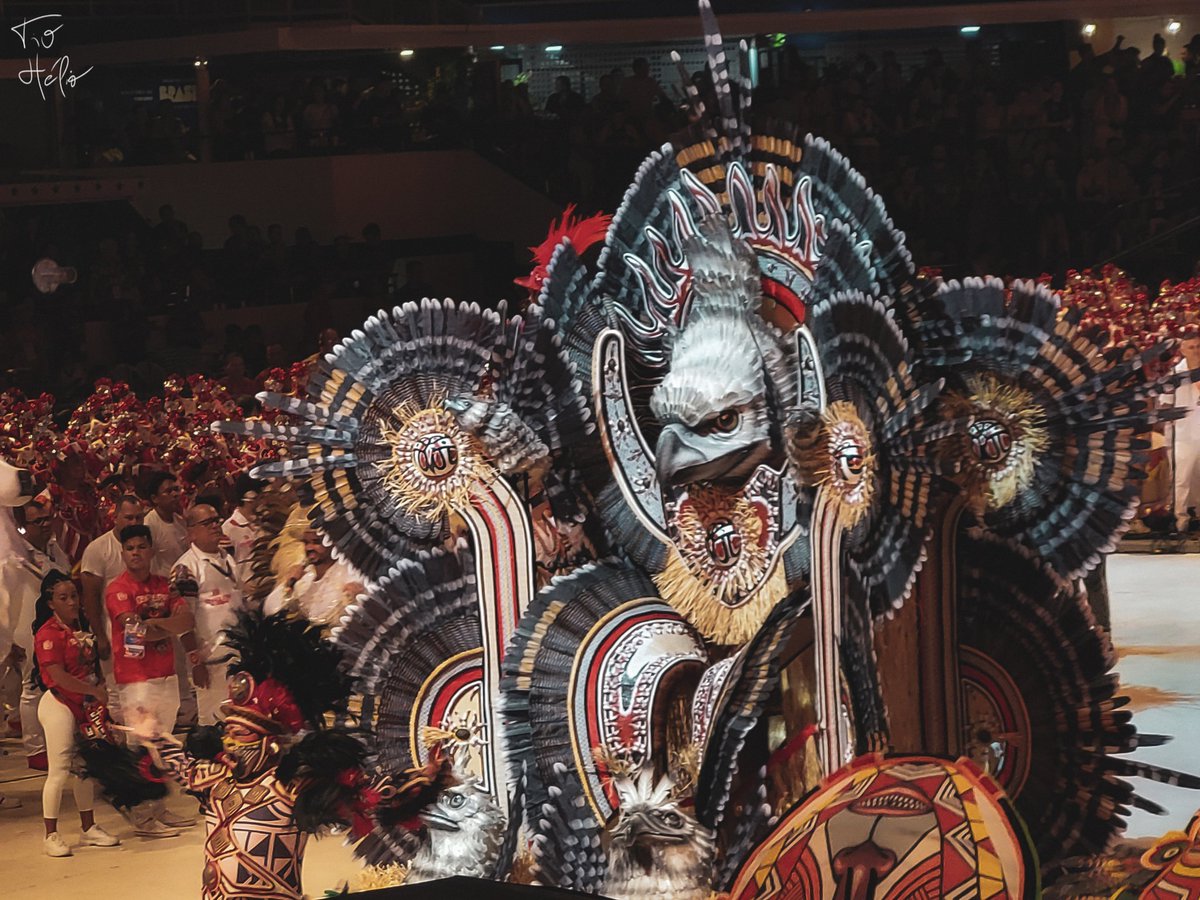 papodetoada's tweet image. Tá chegando a hora...