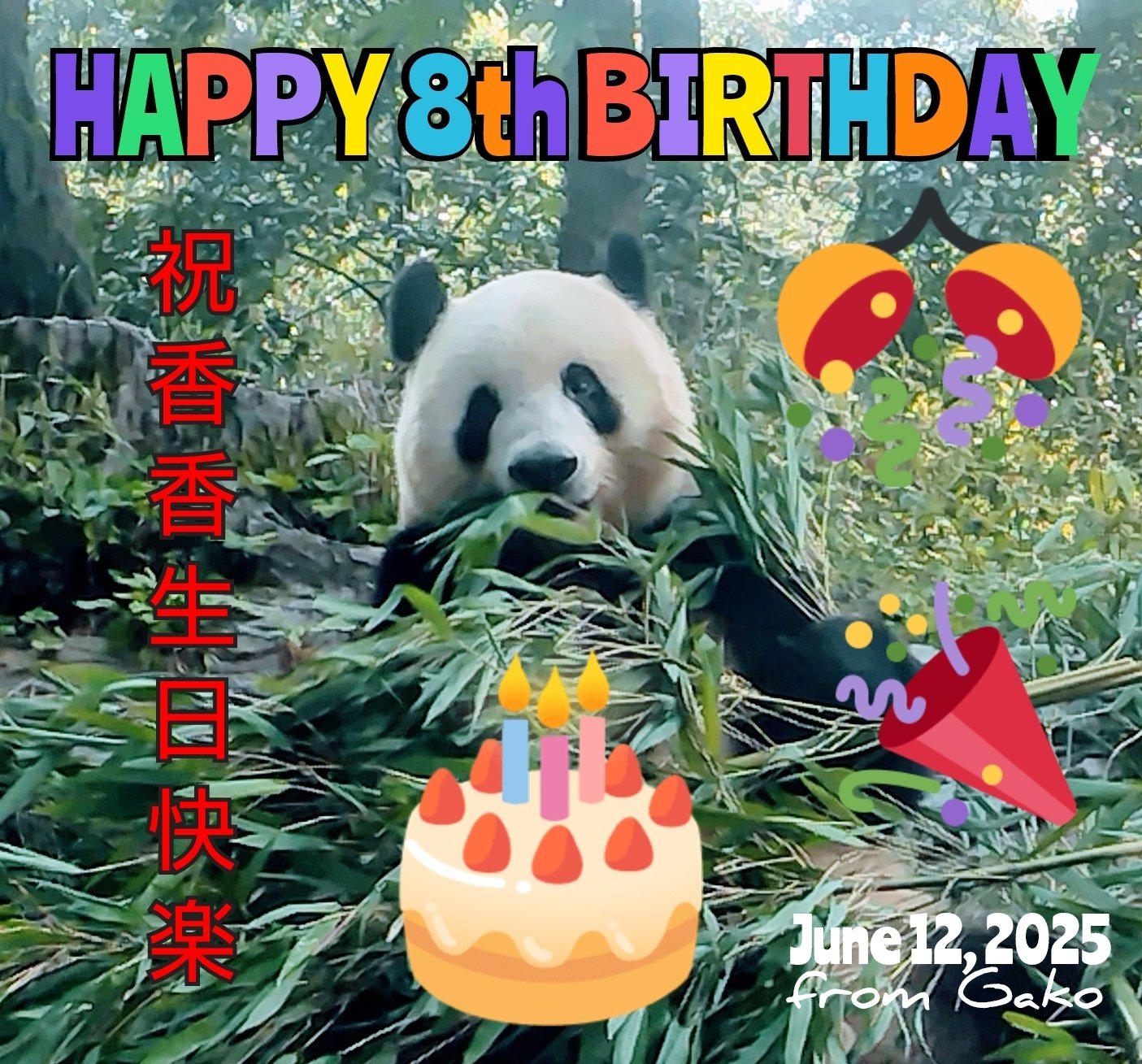 シャンシャン8歳のお誕生日おめでとう - Search / X