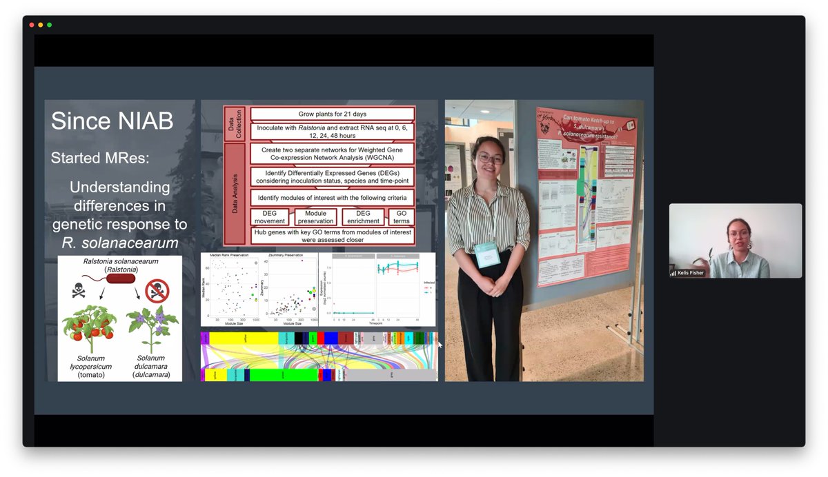 Mimi Tanimoto tweet media