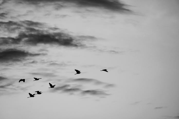 ْنوف tweet media