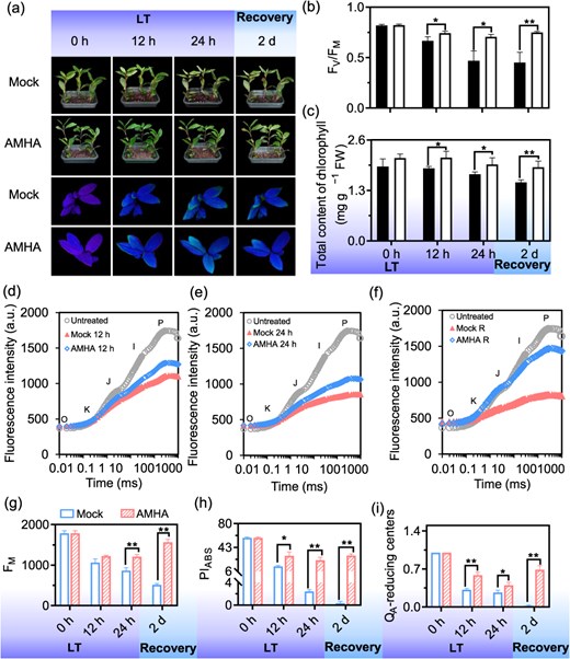 Horticulture Research (@hortres) on Twitter photo AMHA boosts tea plant cold tolerance via antioxidant pathways & CsGSTU7. New insights for stress resilience! #PlantResistance #AMHA #ColdStress <a href="/OxfordJournals/">Oxford Journals</a>
Details: doi.org/10.1093/hr/uha… AMHA boosts tea plant cold tolerance via antioxidant pathways & CsGSTU7. New insights for stress resilience! #PlantResistance #AMHA #ColdStress <a href="/OxfordJournals/">Oxford Journals</a>
Details: doi.org/10.1093/hr/uha…