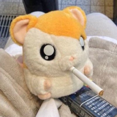 superigotsee's tweet photo. #새프로필사진 https://t.co/JFvABjrlps