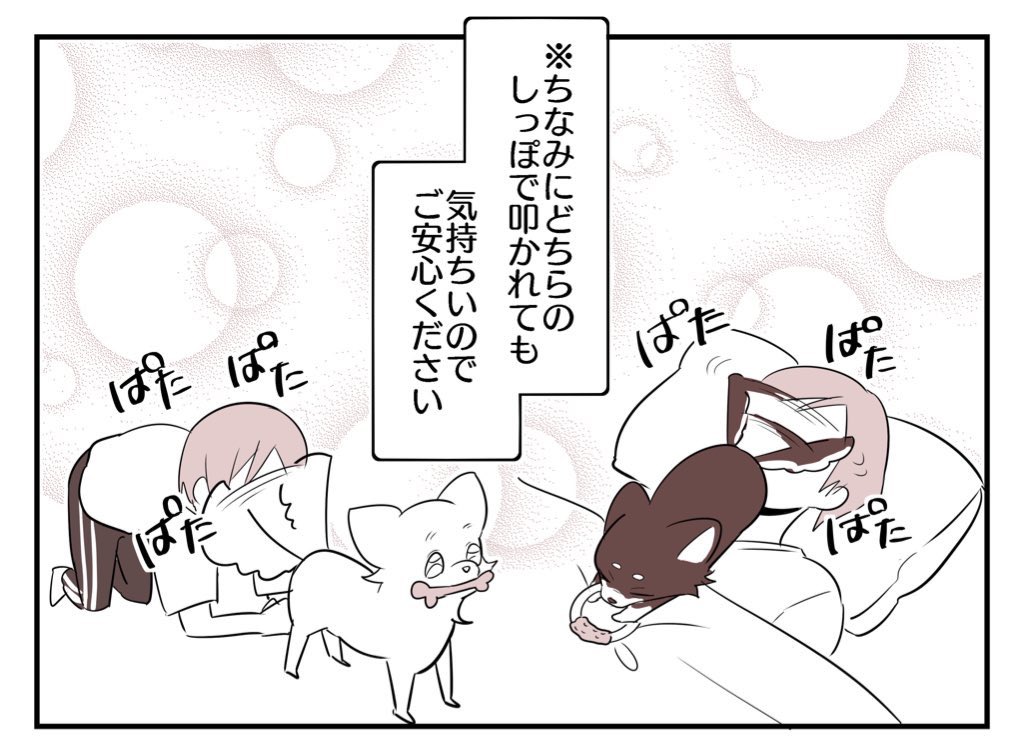 (2/2) 