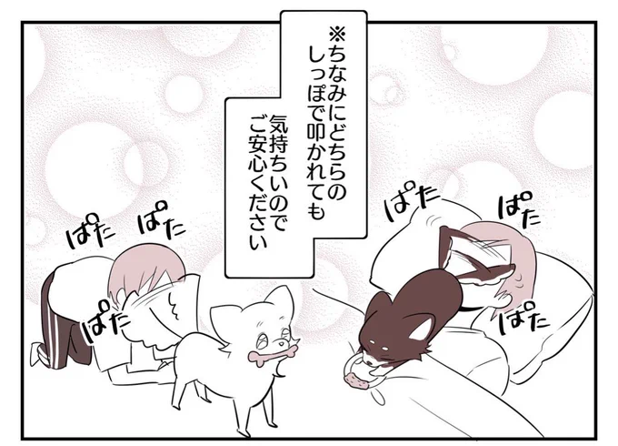 (2/2) 