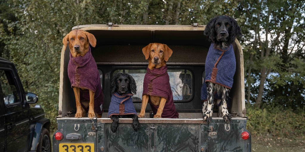 Still searching for the perfect gift for the dog Dad in your life? Order by noon today and we’ll have it to you tomorrow. From comfy leads and practical Drying Coats to stylish leather collars, we’ve got just what he (and his doggo) will love!