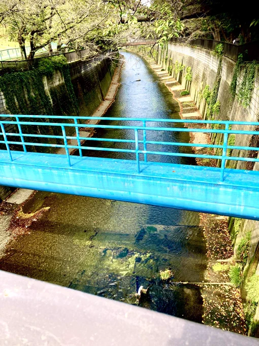 おお綺麗だなって撮る