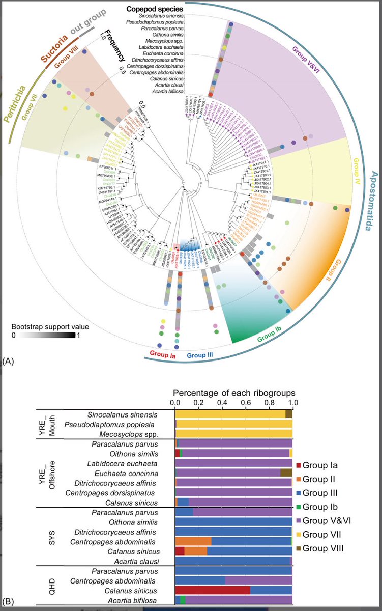 consbiog's tweet image. #Metabarcoding Unveils the Diversity and Dynamics of In Situ #Diet and #Symbionts Associated With #Copepods in Chinese Coastal Waters
doi.org/10.1111/ddi.70…