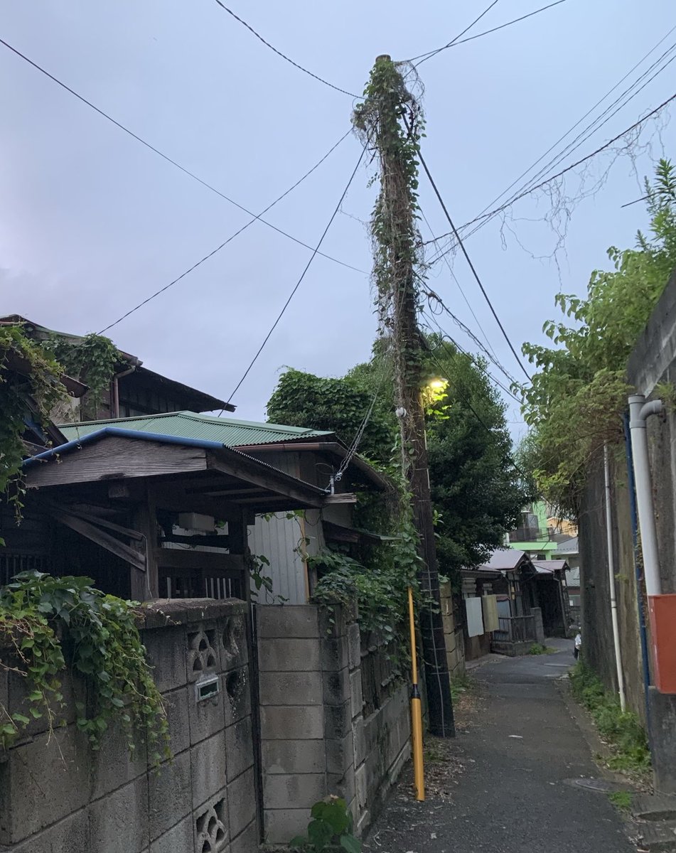 chikasun4's tweet photo. 昭和路地…

御免なさい。勝手に命名させて頂きました。😓

#木の電柱　#路地　#横須賀 https://t.co/Bqvir9A9cw