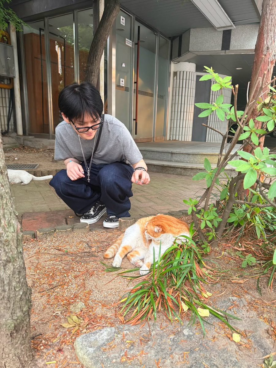 treasure_hd's tweet photo. 📸🐯
 
#トレジャー #YOSHI #요시 #TREASURE #트레저 @treasuremembers https://t.co/pUgyuDQaRG