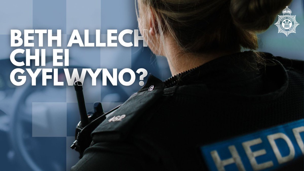 ❓ A allech chi wneud penderfyniadau hollbwysig yn gyflym fel y person cyntaf i gyrraedd lleoliad trosedd difrifol?

Mae ceisiadau ar agor i ymuno â ni fel Swyddog Heddlu neu Gwnstabl Ditectif.

Ymunwch â ni a gwnewch wahaniaeth ➡ orlo.uk/8EtEw