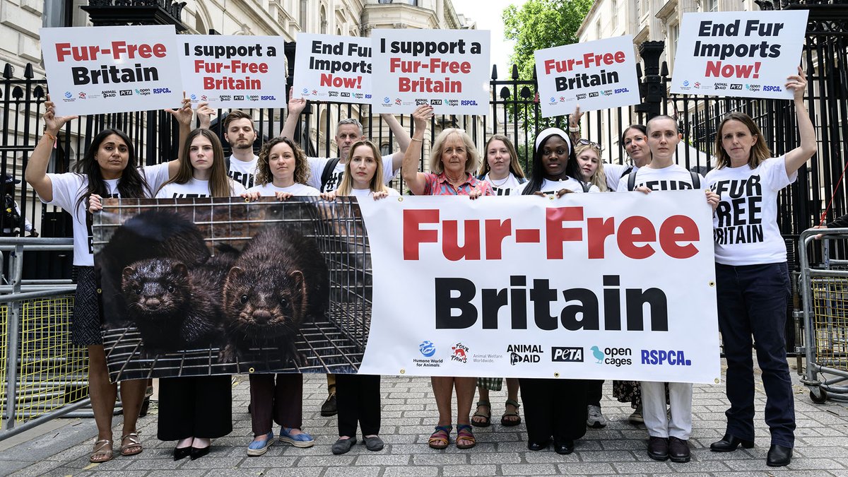 Did you know the UK imports fur from ~1 million murdered animals each year?

We’re joining @FourPawsUK @HumaneWorldUK &amp; 1.5m people urging Ministers to support the Fur Ban Bill tomorrow, 13th June. 

Share for a #FurFreeBritain!

📷: Doug Peters/Humane World for Animals
