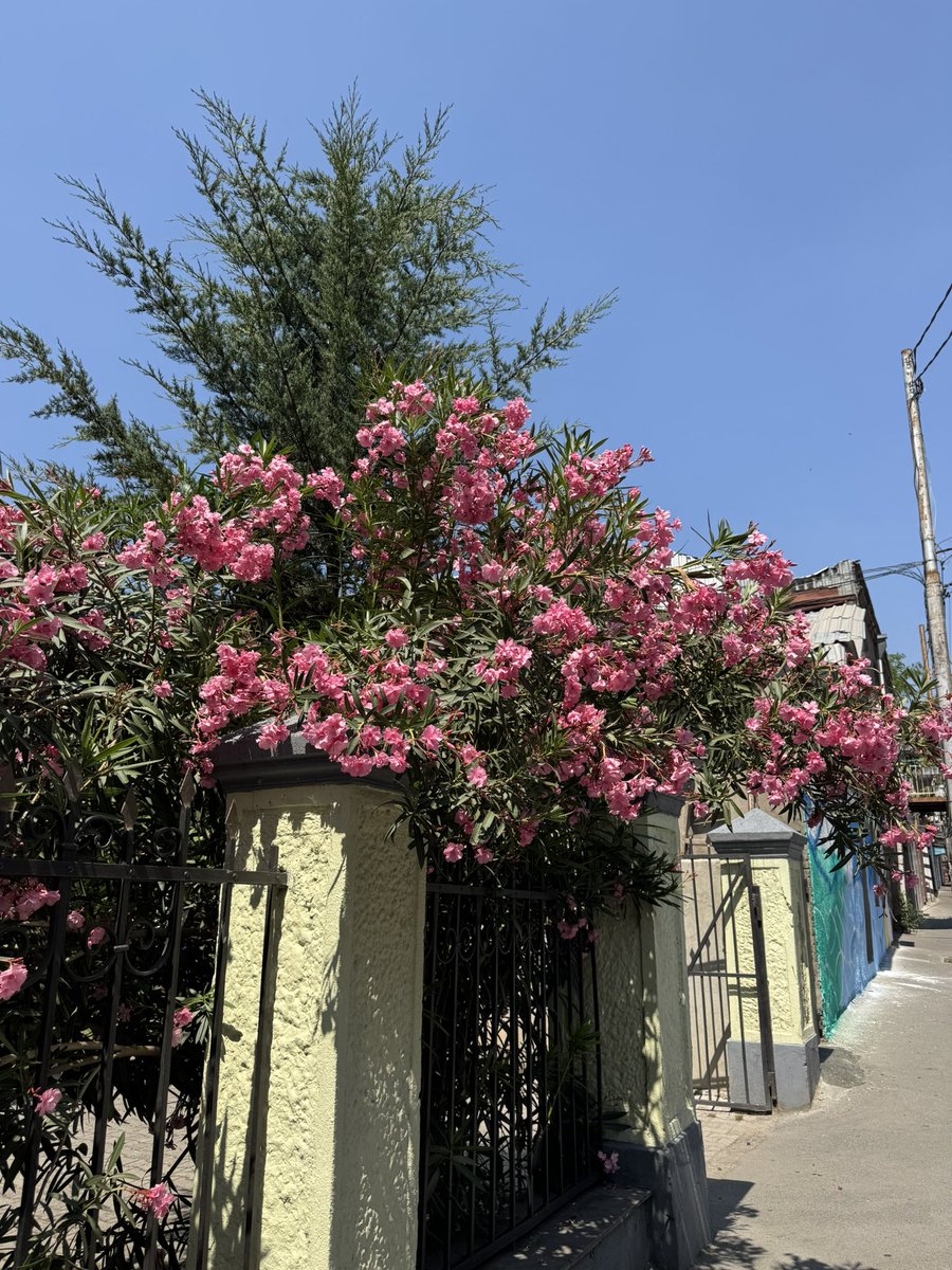 настроение неизбежно поднимается от таких видов