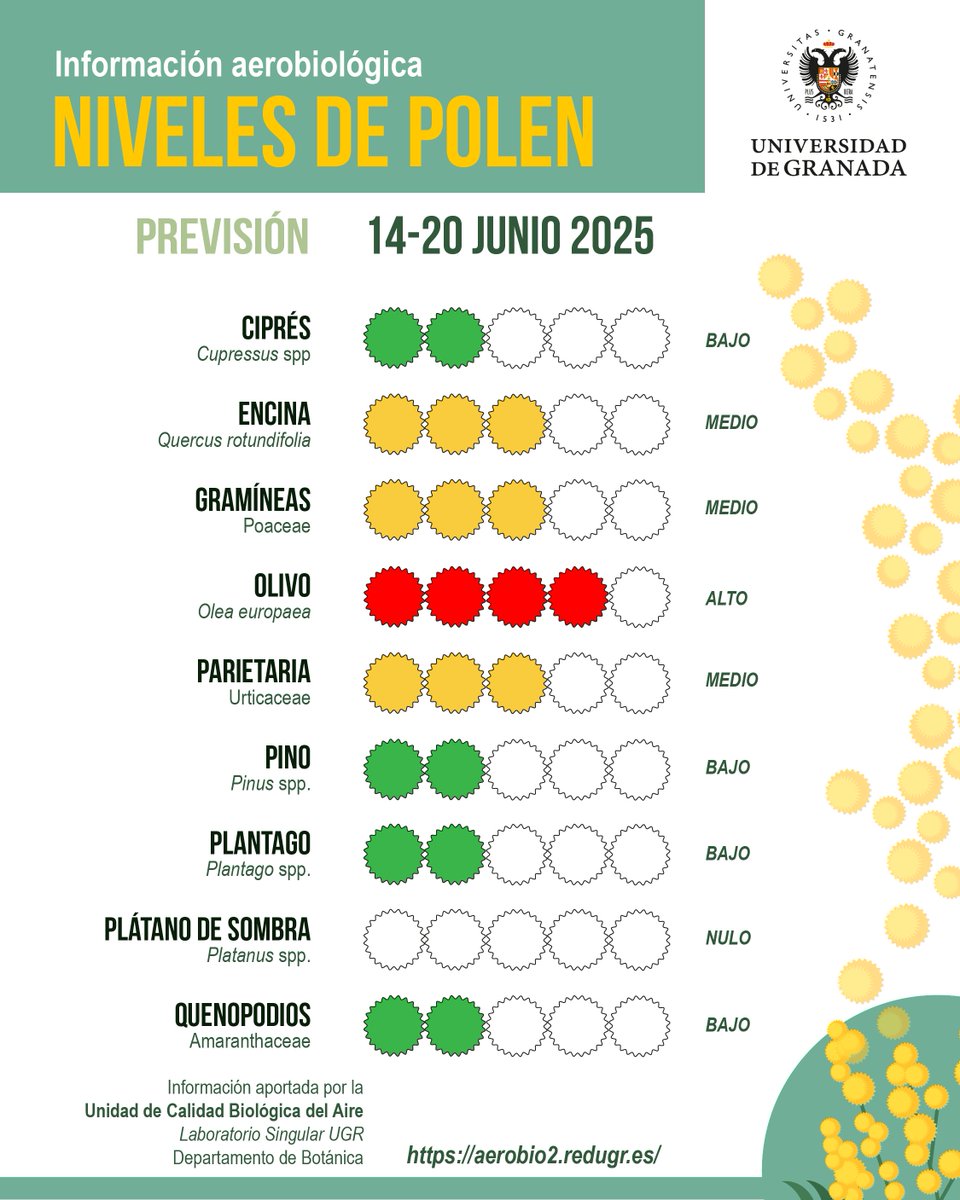 #InformePolenUGR| Previsión del 14 al 20 de junio

📢 Descienden los niveles de polen en #Granada📉

⚠️ La sintomatología alérgica puede seguir apareciendo, por lo que se recomienda seguir usando las medidas de prevención😷

ℹ️ Informe completo: canal.ugr.es/noticia/inform…