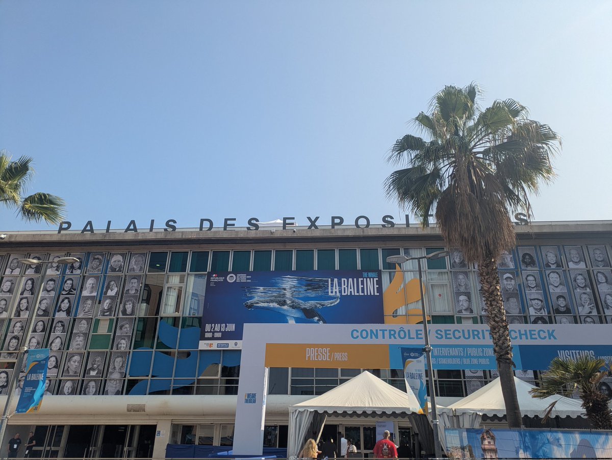 CLEMI Nice tweet media