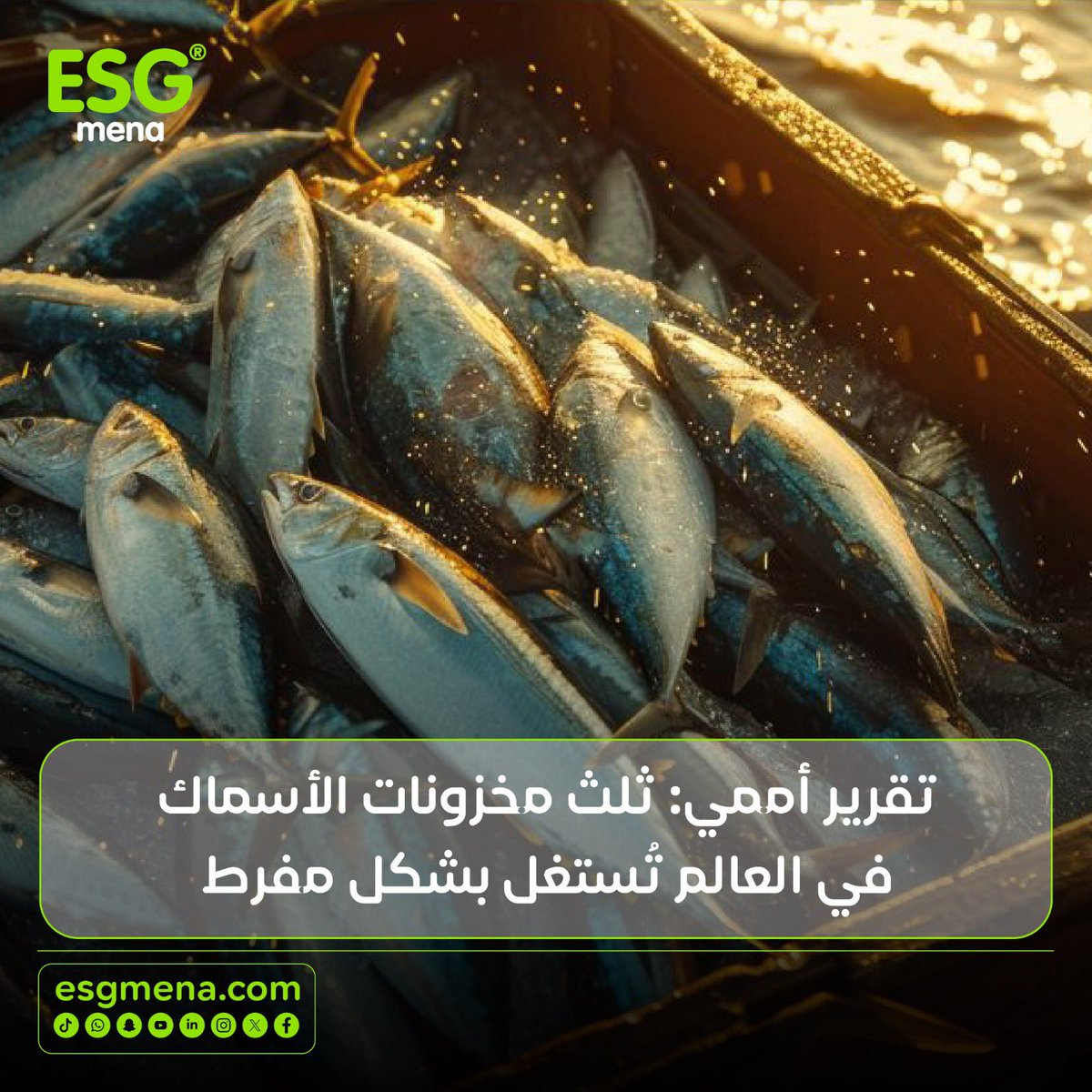 During the #UN Ocean Conference in Nice, the FAO sounded a stark alarm: 35% of the world’s marine fish stocks are being harvested at unsustainable levels.
Follow the full coverage here:
esgmena.com/2025/06/11/un-…

#GlobalFishStocks