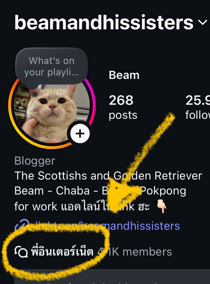 ช่วงนี้ทวิตไม่ฟีดเลยไม่รู้เป็นไร อพยพไปอยู่ในไอจีซักพักนะ อย่าลืมเข้าบรอดแคสนะพี่ๆๆ  

instagram.com/beamandhissist…
