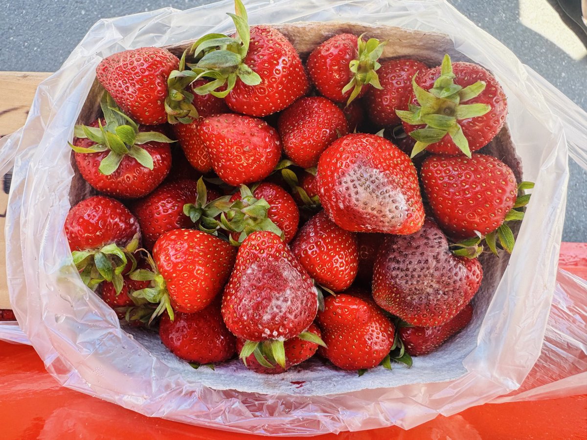 Christiane Meusel (@rain_meusel) on Twitter photo 