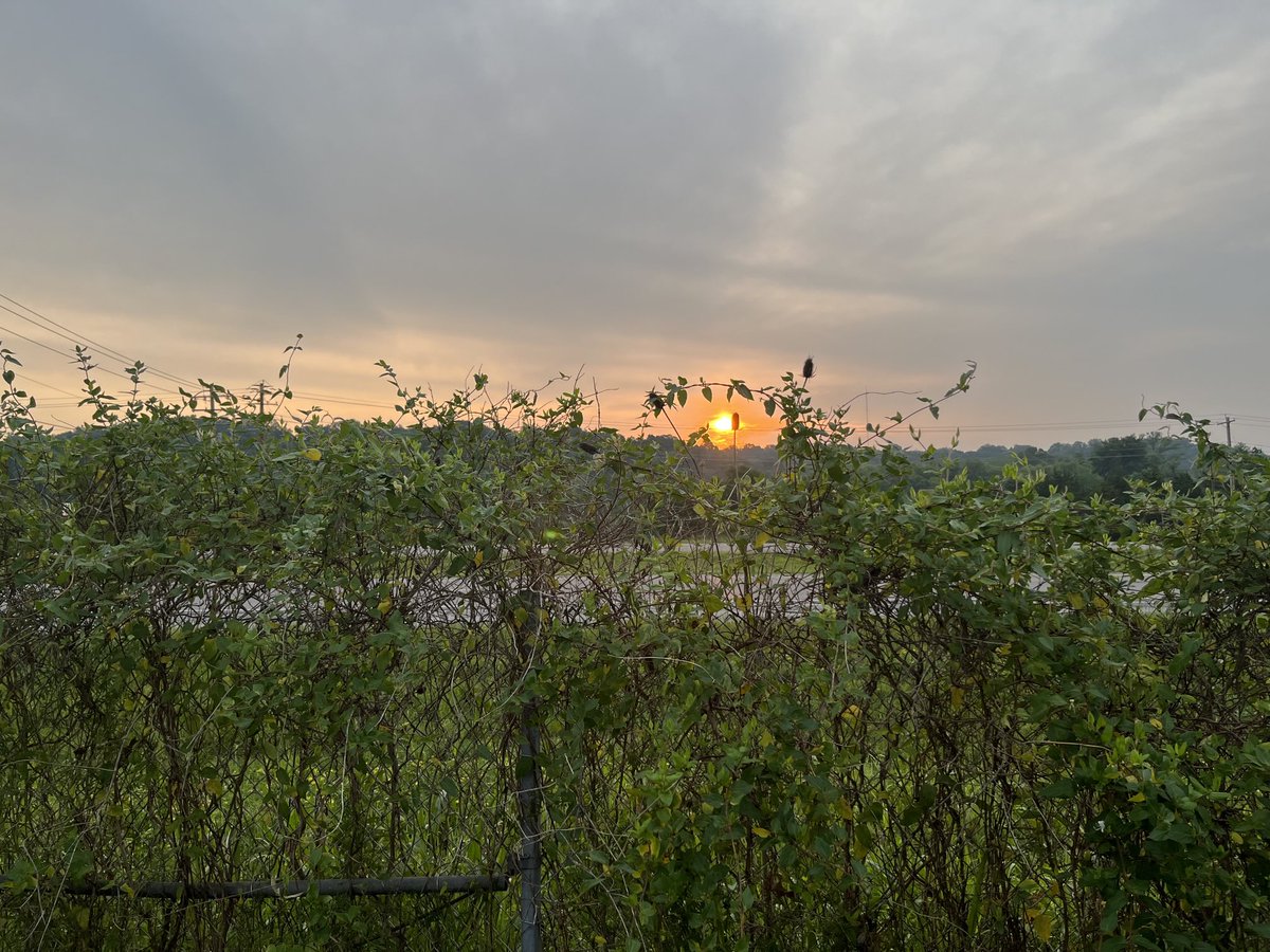 Good morning from Jefferson County- pretty sunrise is underway. It is a mild and pleasant start to your day. It should be a beautiful Thursday- get outside and enjoy the weather! Happy Thursday everyone!